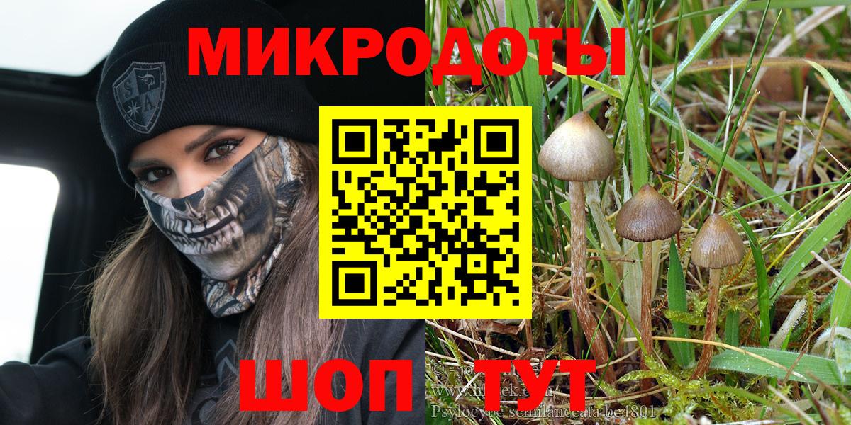 Великие Луки  Псилоцибиновые грибы мухоморы  Вход с VPN  Псилоцибиновые грибы ЛСД 