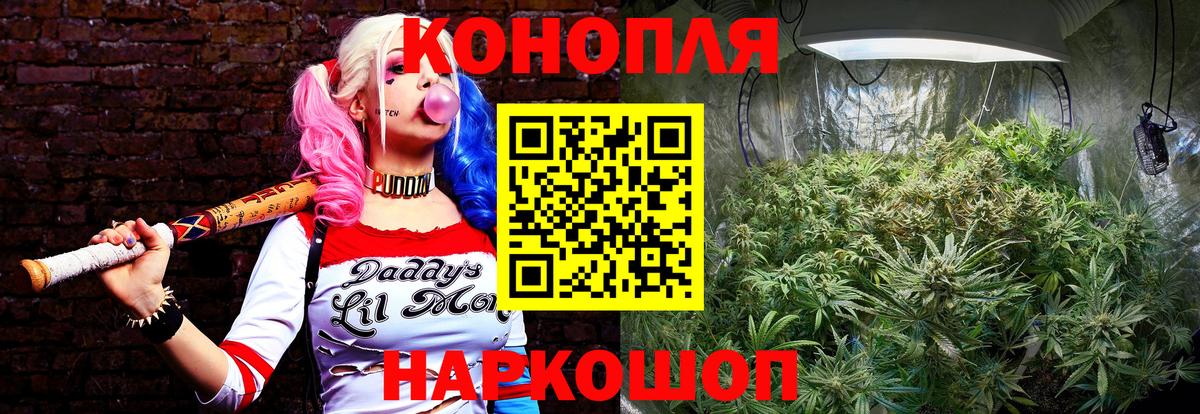 Великие Луки  Шишки марихуана тримм  МАРИХУАНА конопля  Вход с VPN  Канабис OG Kush 
